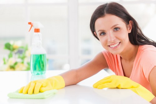 Professional Airbnb cleaning of a bright rental living room