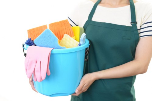 Living room sofa cleaning essentials