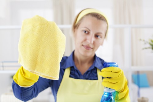 Home rug cleaning with vacuuming and care