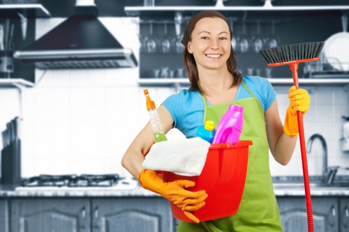 Professional move out cleaning details in a living space