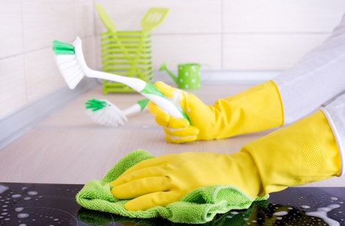 Routine vacuuming and maintenance of a sofa