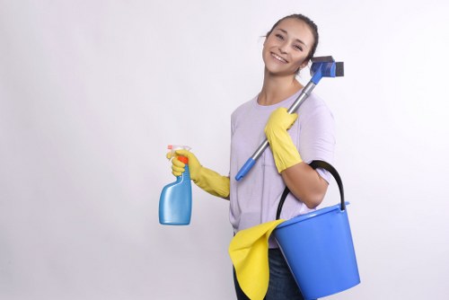 Professional mattress cleaning for a fresher bed