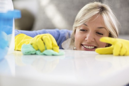 Detailed bathroom sanitizing during Airbnb cleaning