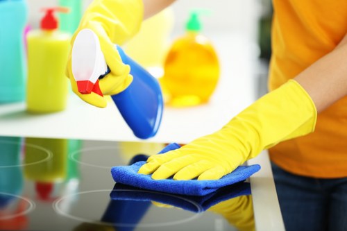 Professional oven cleaning process in a kitchen