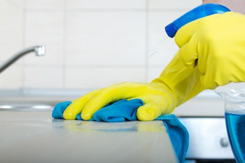 DIY oven cleaning supplies including baking soda and vinegar
