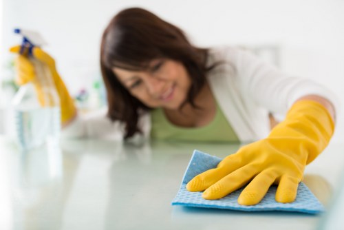 Professional move in cleaning in a bright empty apartment