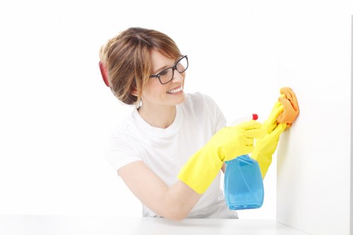 Bathroom surfaces cleaned as part of domestic cleaning