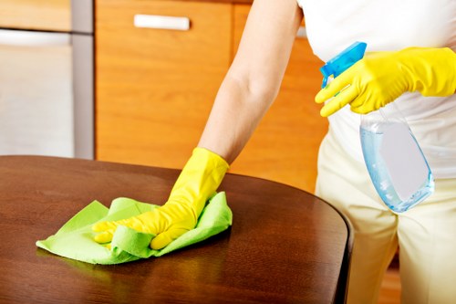 Health-focused regular cleaning routine with disinfecting supplies